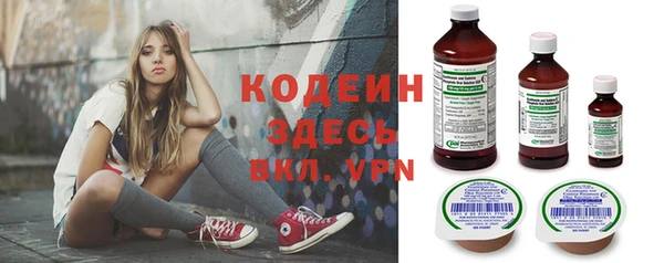 хмурый Корсаков