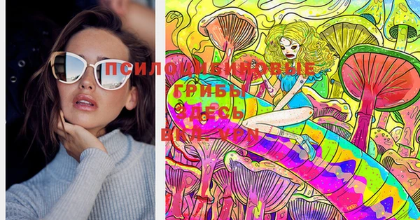 хмурый Корсаков