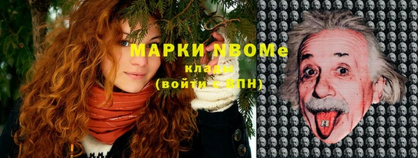хмурый Корсаков