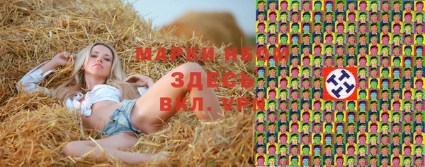 хмурый Корсаков