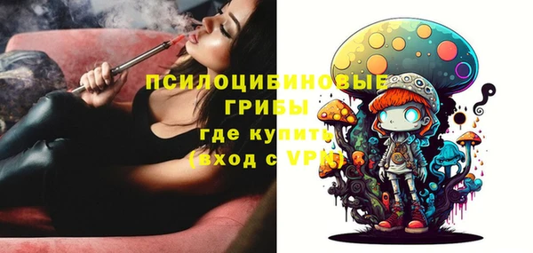 хмурый Корсаков