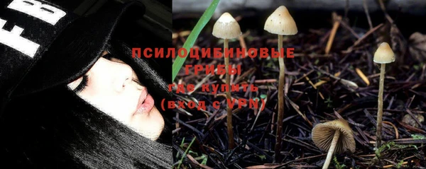 мдма Краснослободск